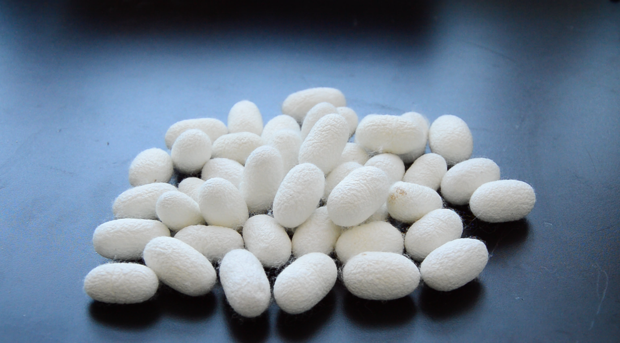 silk protein, expert advice